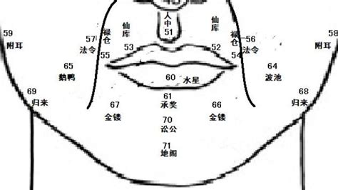 鼻翼 面相|麦玲玲面相讲座之 鼻子 – 人相学